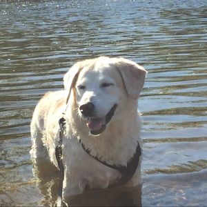 Meet your Posher, Joann